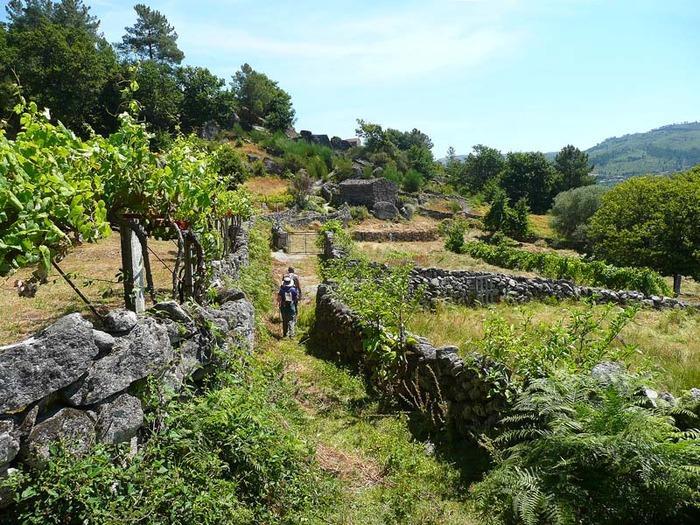 Willa Casa Da Gandarela Soajo Zewnętrze zdjęcie